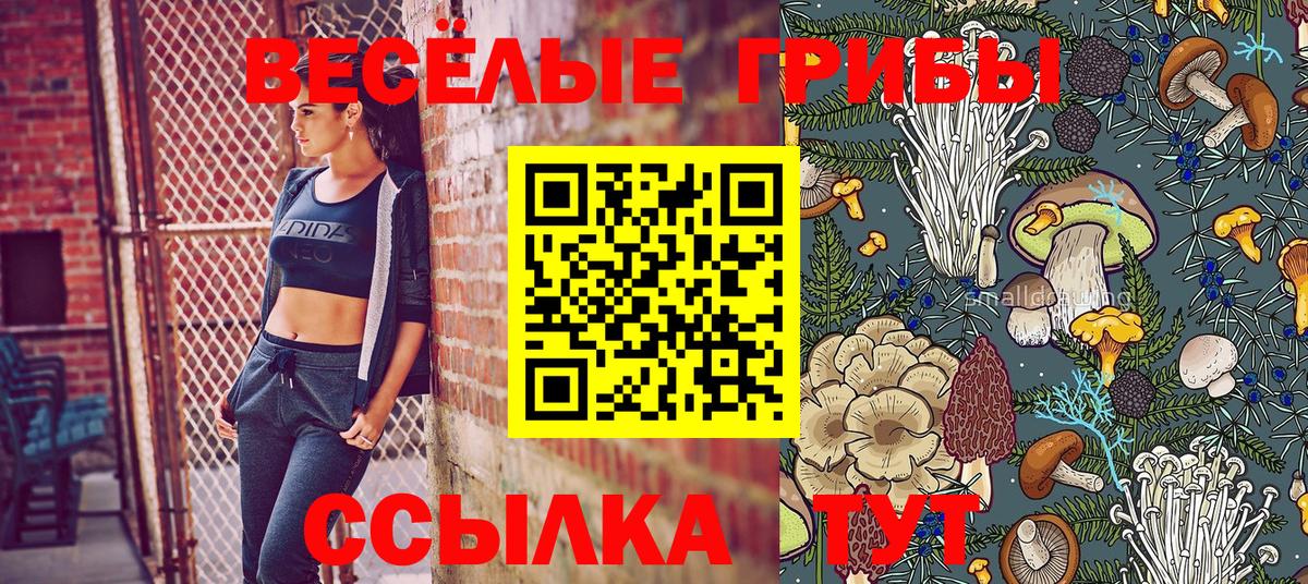 Галлюциногенные грибы мицелий Улан-Удэ