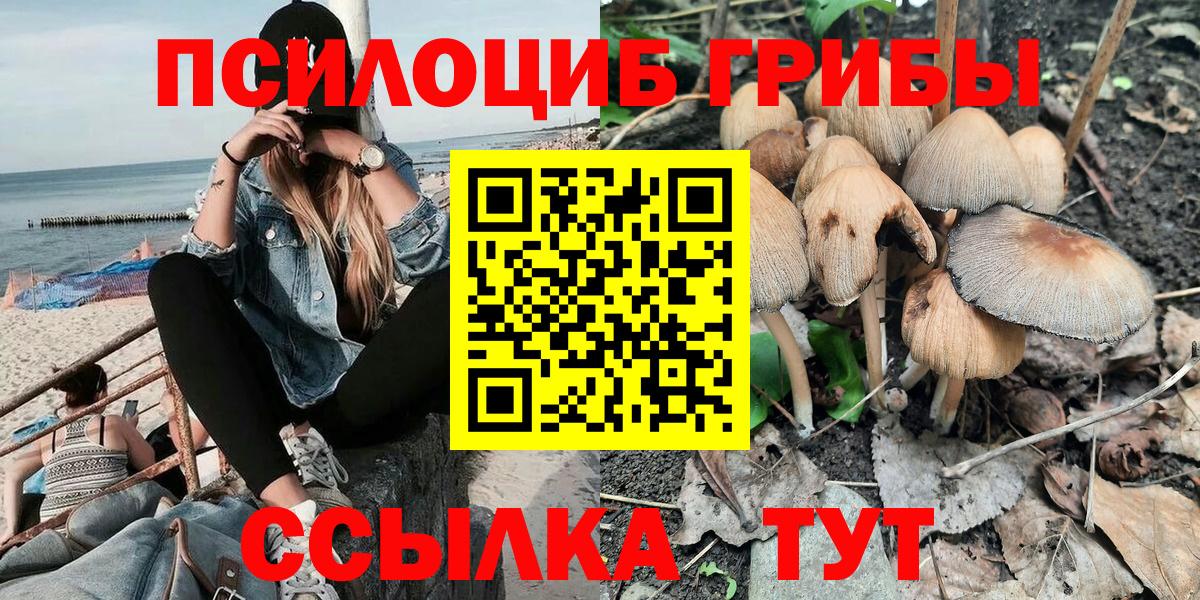 как найти закладки  Вход с VPN  Псилоцибиновые грибы Psilocybe  Улан-Удэ  Галлюциногенные грибы MAGIC MUSHROOMS 